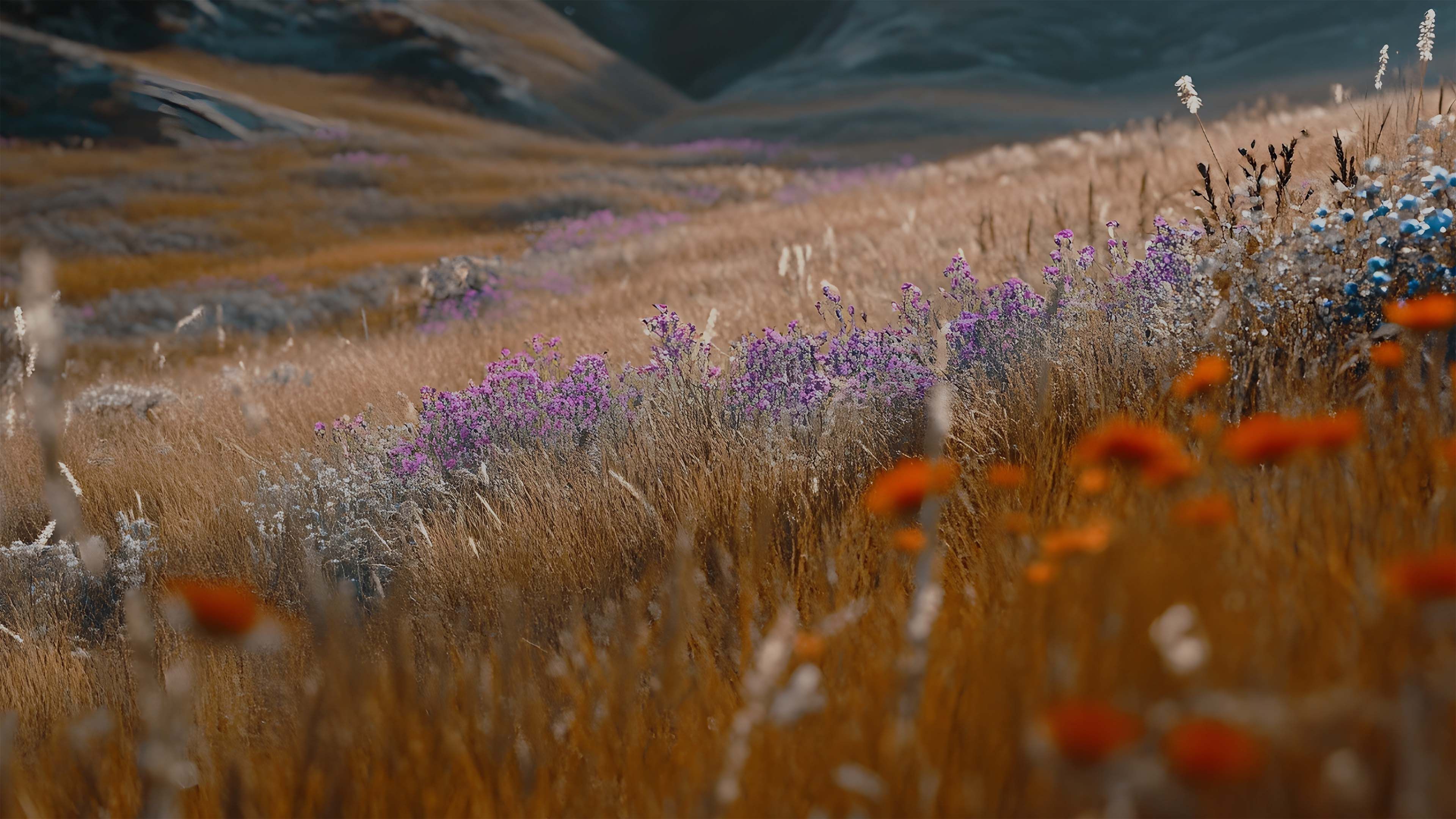 Nahaufnahme einer blühenden Wiese mit violetten und orangen Wildblumen, die als dekorativer Hintergrund für eine Unternehmensübersicht dient.