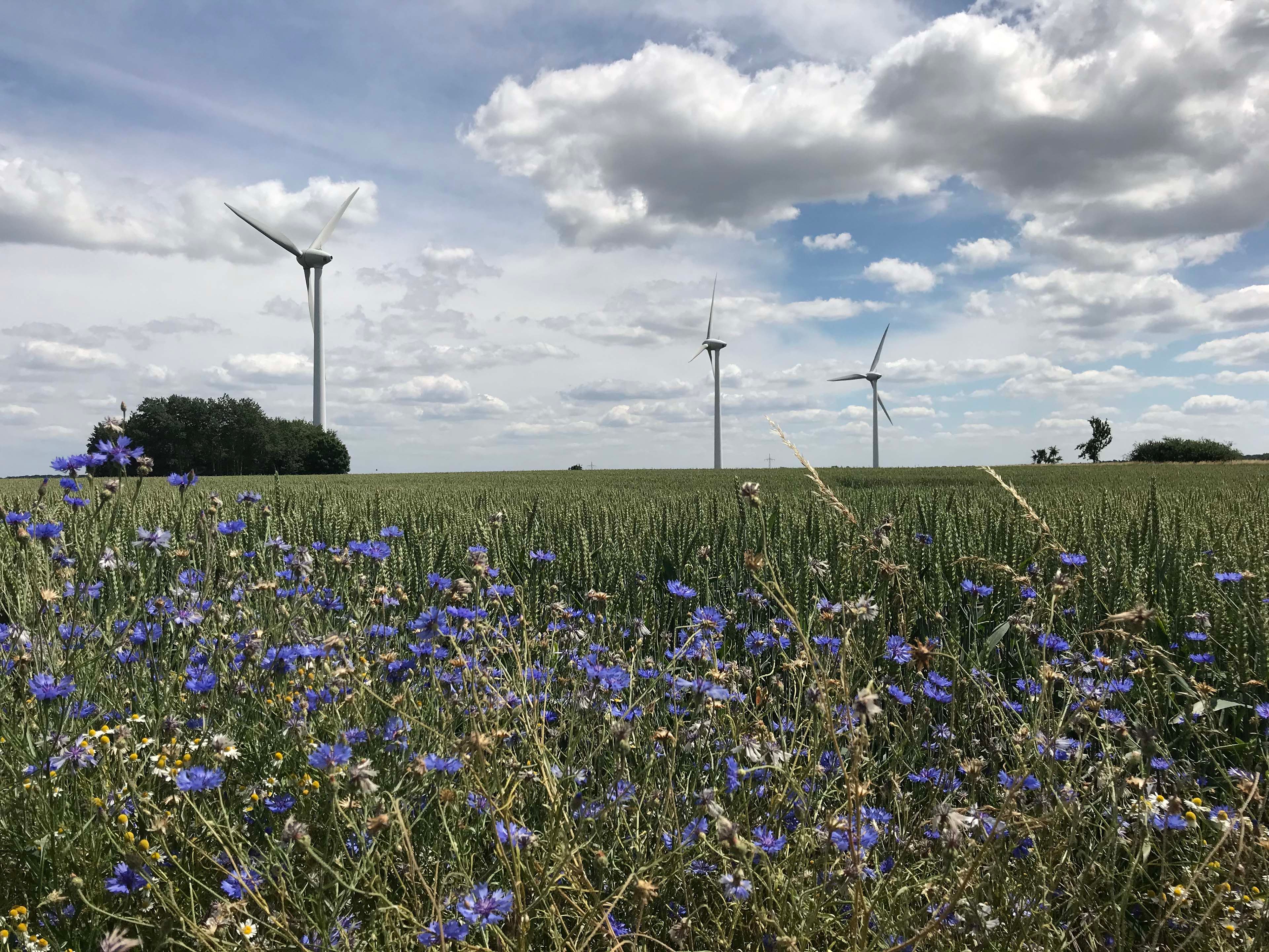 Windpark Volkmarsdorf